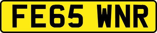 FE65WNR