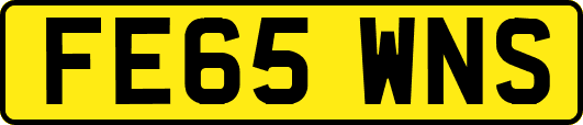 FE65WNS