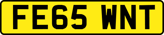 FE65WNT