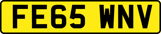 FE65WNV