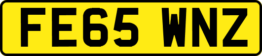FE65WNZ