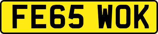 FE65WOK