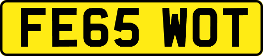 FE65WOT