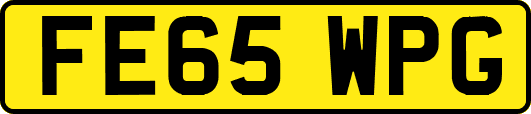 FE65WPG