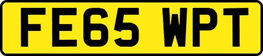 FE65WPT