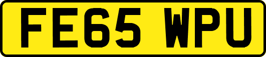 FE65WPU
