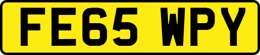 FE65WPY