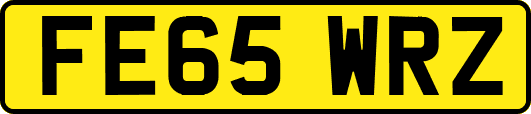 FE65WRZ