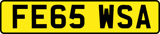 FE65WSA