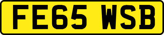 FE65WSB