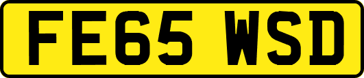 FE65WSD