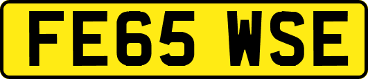 FE65WSE