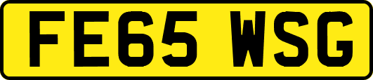 FE65WSG