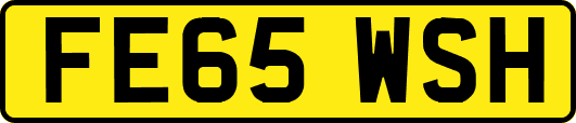 FE65WSH
