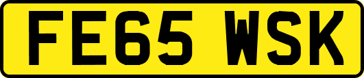 FE65WSK