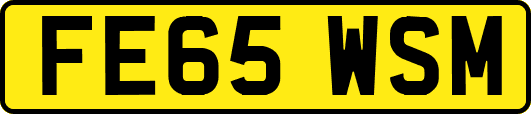 FE65WSM