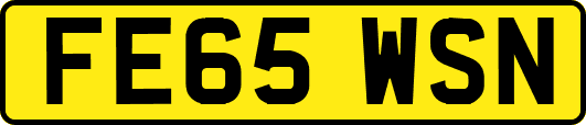 FE65WSN
