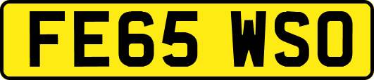 FE65WSO