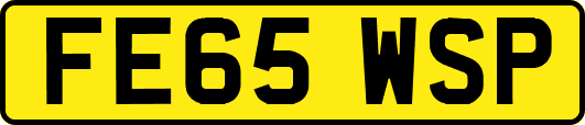 FE65WSP