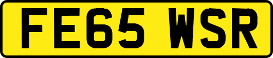 FE65WSR