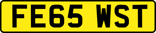 FE65WST