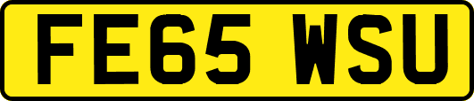 FE65WSU