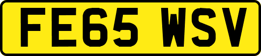 FE65WSV