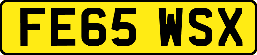 FE65WSX