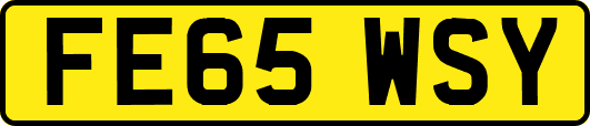 FE65WSY
