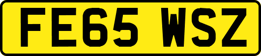 FE65WSZ
