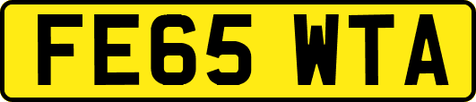 FE65WTA