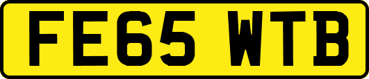 FE65WTB