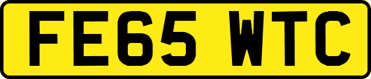 FE65WTC