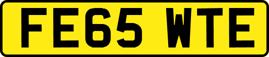 FE65WTE