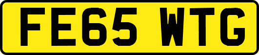 FE65WTG