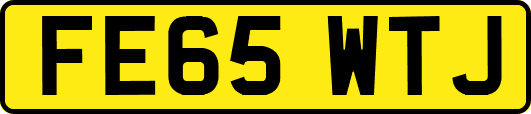 FE65WTJ
