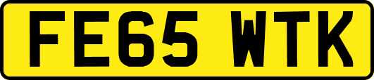 FE65WTK