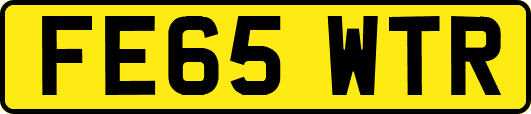 FE65WTR