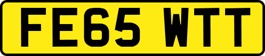 FE65WTT