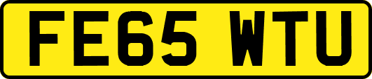 FE65WTU