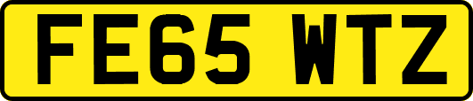 FE65WTZ