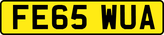 FE65WUA