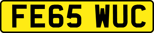 FE65WUC