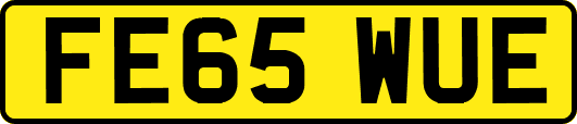 FE65WUE