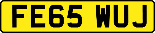 FE65WUJ