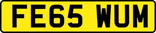 FE65WUM