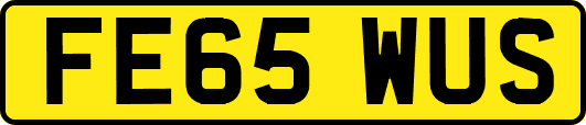 FE65WUS