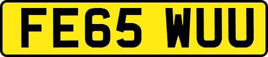 FE65WUU