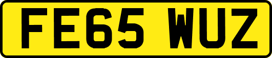 FE65WUZ