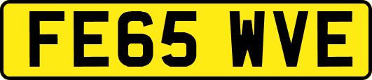 FE65WVE